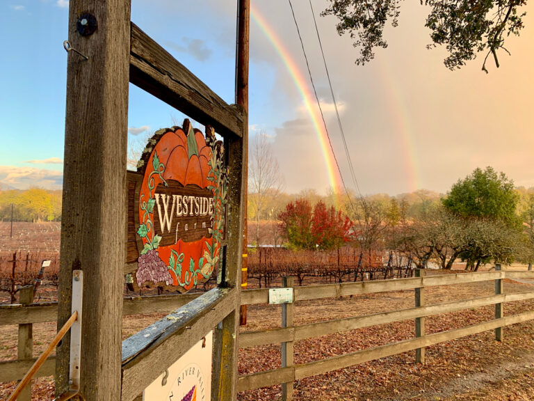 David Ramey Offers Words of Wisdom on Wine and Life